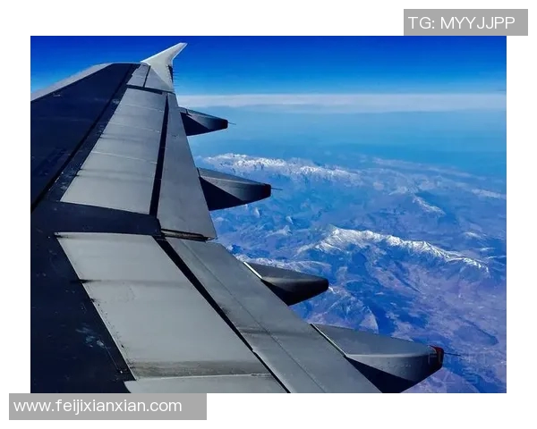 伊拉斯图阴阳天与全球港口的未来发展与合作探讨